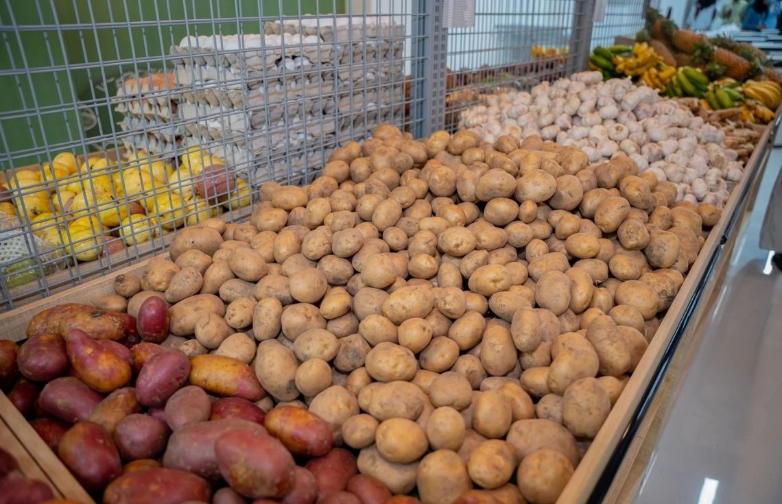 "ސަރުކާރުން އެޅުއްވި ހަރުދަނާ ފިޔަވަޅުތަކާއެކު އެސްޓީއޯ އިން ވިއްކާ އަސާސީ ކާބޯތަކެތީގެ އަގުތައް އެއްވަރެއްގައި ވަނީ ހިފެހެއްޓިފައި"