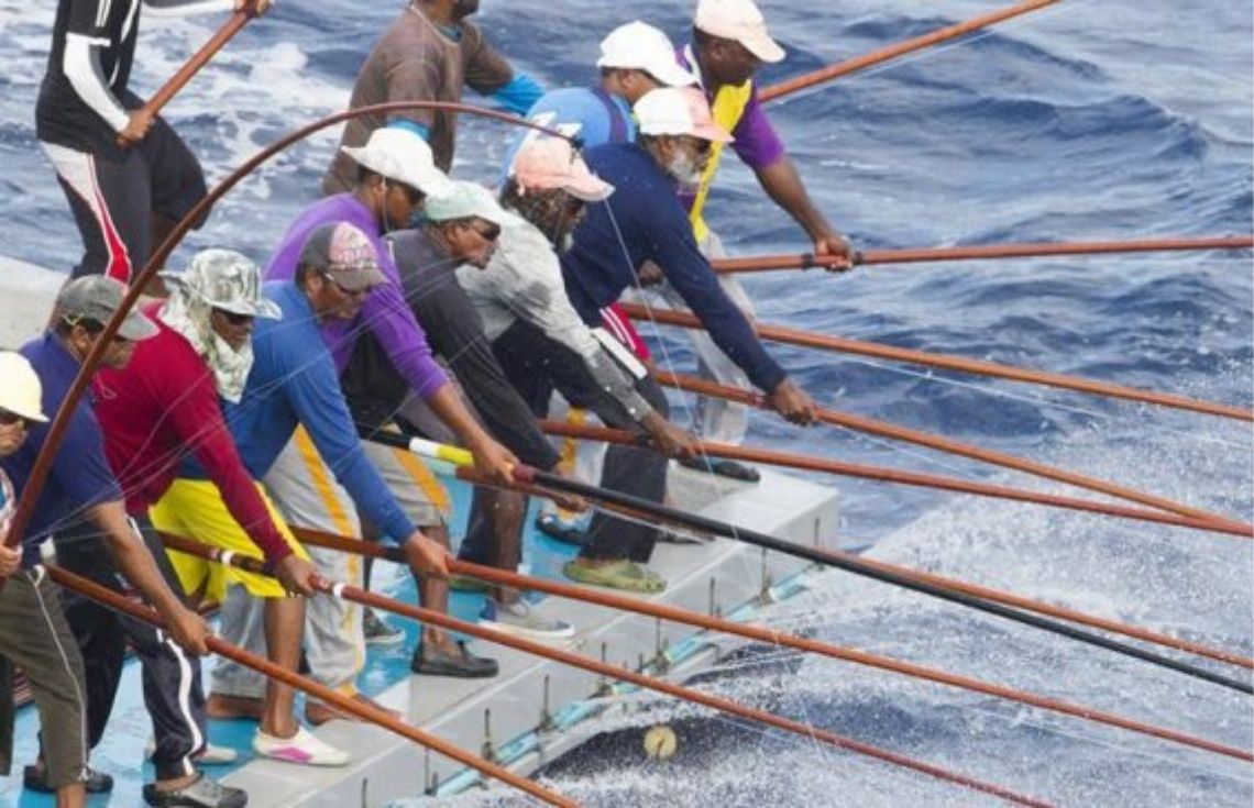 ދަފްތަރުގައި ރަޖިސްޓްރީވެފައިވާ 89 މަސްވެރިއަކަށް ބީއެމްއެލްއިން ލޯނު ދޫކޮށްފި