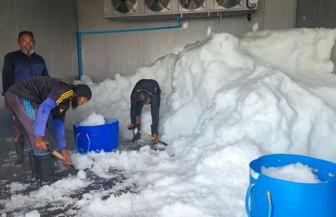 މ. ވޭވަށުގައި ޤާއިމުކުރާ އައިސް ޕްލާންޓުގެ ޢަމަލީ މަސައްކަތް ފަށައިފި