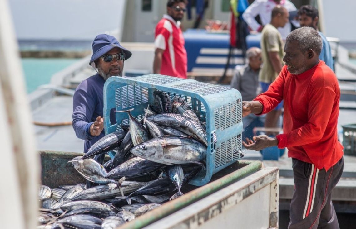 އަގު އެއްކުރި މަހުގެ ބާވަތްތައް ތައްޔާރުކުރުމުގެ ހުނަރު 130 އަށްވުރެ ގިނަ މީހުންނަށް ދަސްކޮށްދީފި