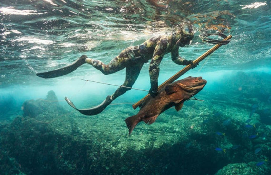 އަންނަ މަހުތެރޭ ސްޕިއަރ ފިޝިންއަށް ހުއްދަ ދިނުމަށް އަންނަނީ ތައްޔާރުވަމުން: ވަޒީރު ޠާރިޤު