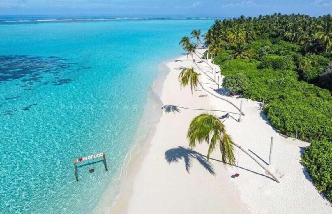 ތޮއްޑޫ ކައުންސިލް ރައީސް ކަމާއި އަންހެނުންގެ ކޮމިޓީގެ ރައީސްކަމާއި އެކު 6 ގޮނޑި ކޮންގްރެސްއަށް