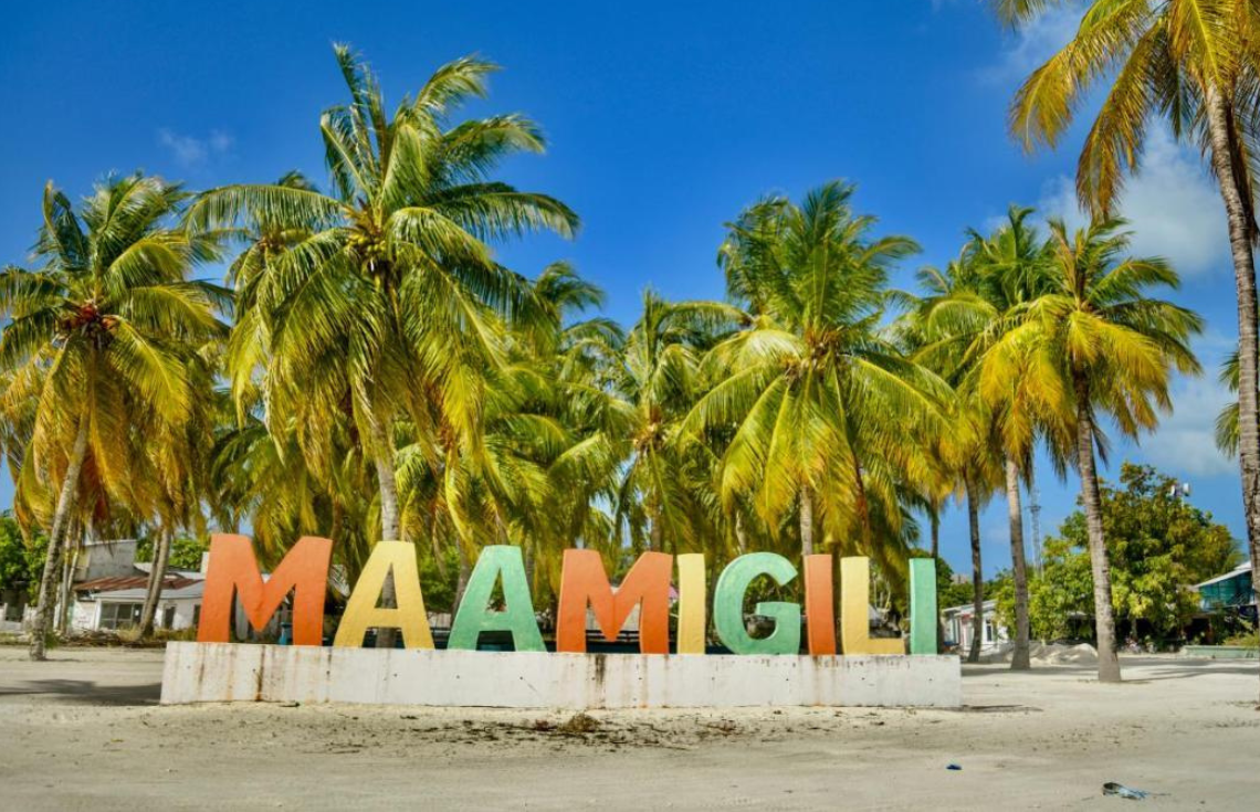 މާމިގިލި ކައުންސިލްގެ މެޖޯރިޓީ ޖުމްހޫރީ ޕާޓީއަށް ފުރަތަމަ ފަހަރަށް ގެއްލިއްޖެ