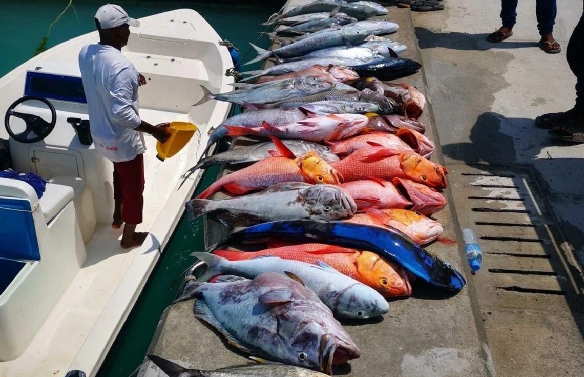 ދިވެހިރާއްޖޭގެ ކަނޑުމަހުގެ މަސްވެރިކަމަށް ޚާއްޞަ ރޭޓިންގ އެއް ކަނޑައަޅައިފި