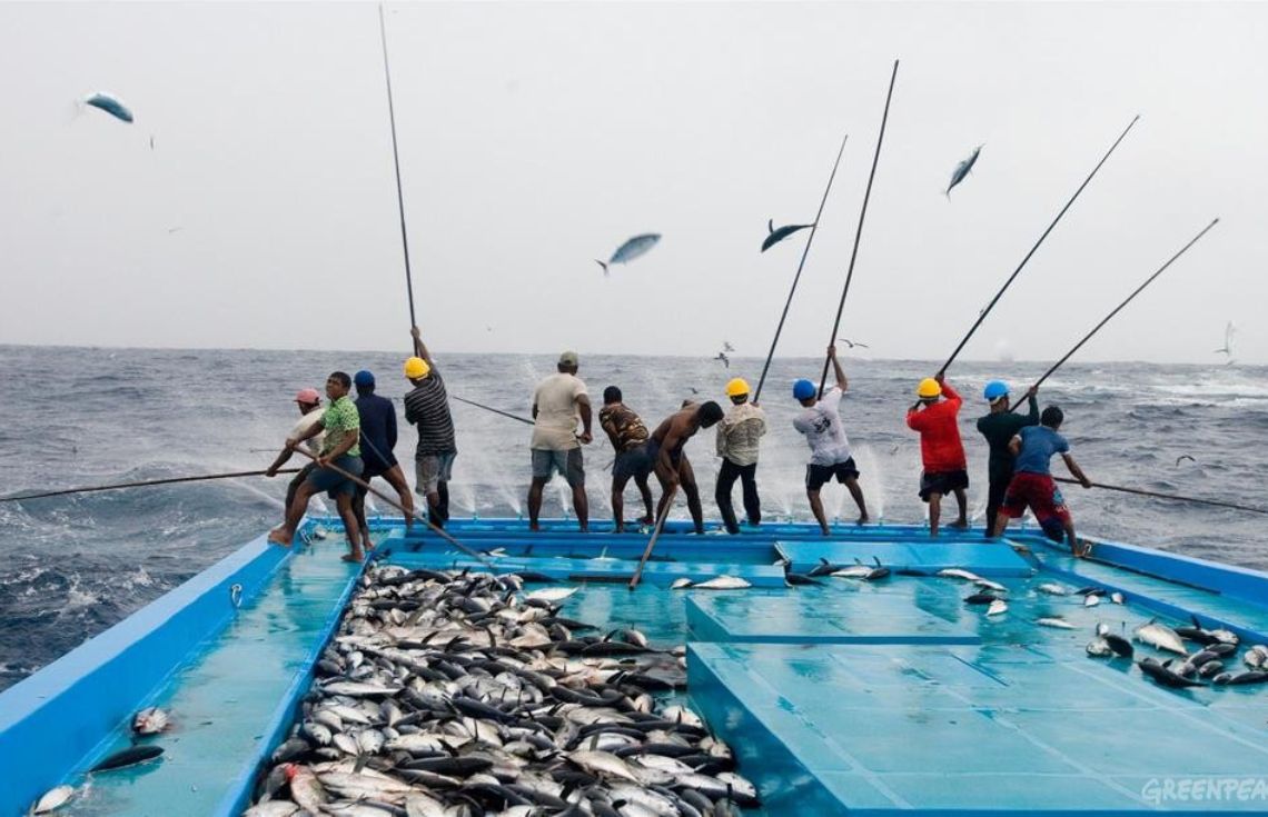 އަހަރުގެ ފުރަތަމަ ކުއާޓަރުގައި މަސްވެރިންނަށް 88.8 މިލިޔަން ރުފިޔާ ދޫކޮށްފި