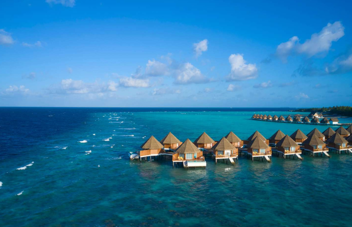 މިޔަރެއް ހަމަލާދިން ފަތުރުވެރިއެއްގެ އެއް ފައި ބުރިކޮށްލައިފި