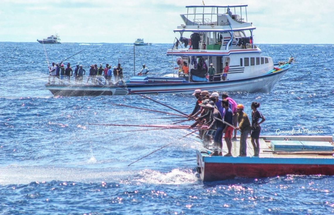 މަސްވެރިކަން ކުރާ ދޯނިތަކަށް ރާއްޖޭގެ ހުރިހާ ހިސާބަކުން އަގު ހެޔޮ ރޭޓުގައި ތެޔޮ ލިބޭނެ އިންތިޒާމް ހަމަޖައްސައިފި