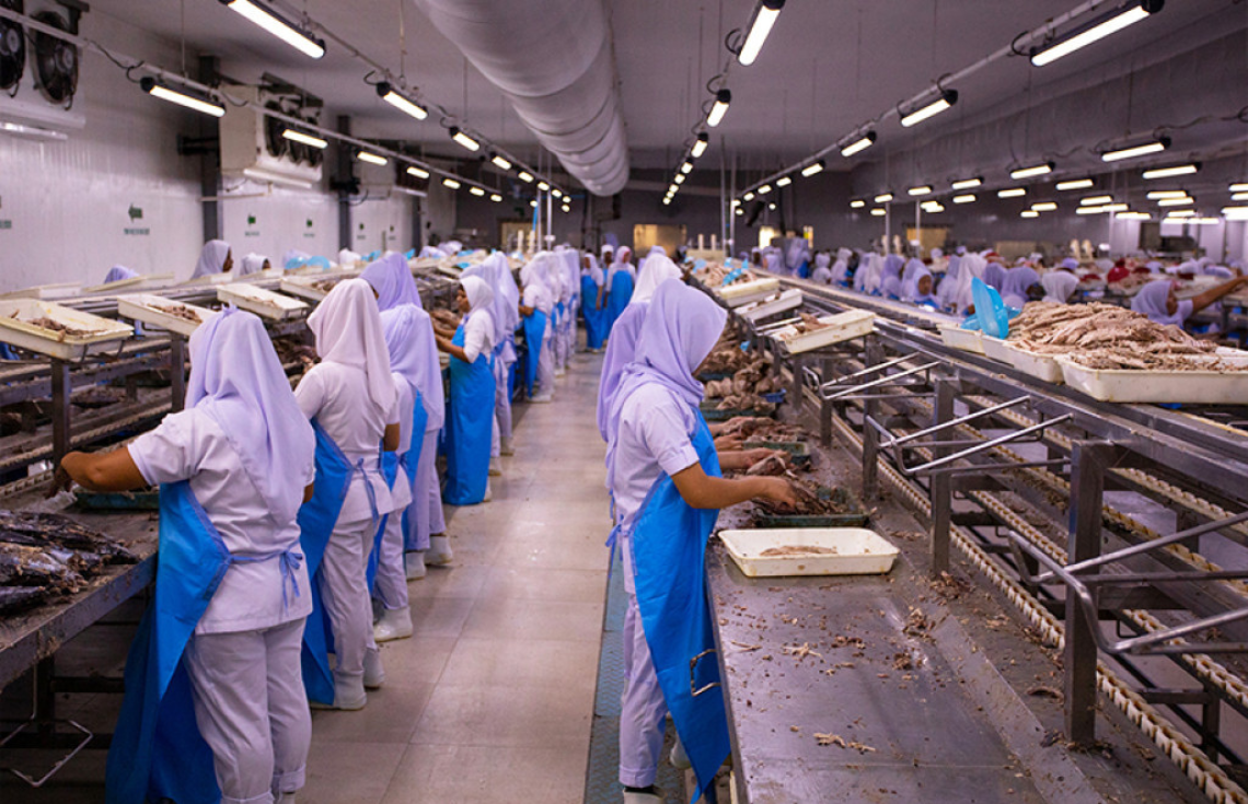 މިދިޔަ މަހު ރާއްޖެއިން އެކްސްޕޯޓުކުރި މަހުގެ އަދަދު އިތުރުވެއްޖެ