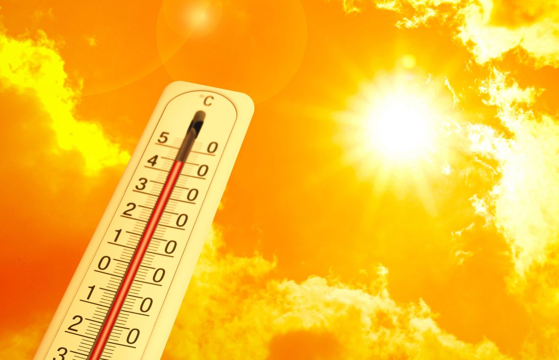 ރާއްޖޭގެ އާދަޔާޚިލާފު ހޫނުމިން: ސަބަބުތަކާއި، ނުރައްކާތަކާއި އަދި ސަލާމަތްވުމަށް ކުރެވިދާނެ ކަންކަން