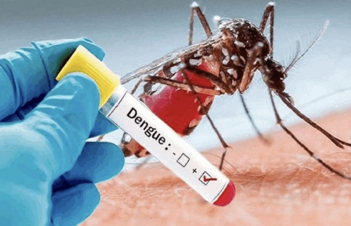 ޑެންގީގެ ބިރުވެރިކަން: އިތުރުވަމުންދާ ކޭސްތަކާއި މުޖުތަމަޢުގެ ސަލާމަތަށް އަޅަންޖެހޭ ފިޔަވަޅުތައް