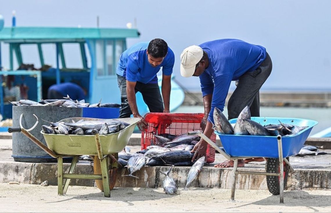 މިދިޔަ އަހަރު ރާއްޖެއިން އެކްސްޕޯޓްކުރި މަހުގެ މިންވަރު %92 އިތުރުވެއްޖެ