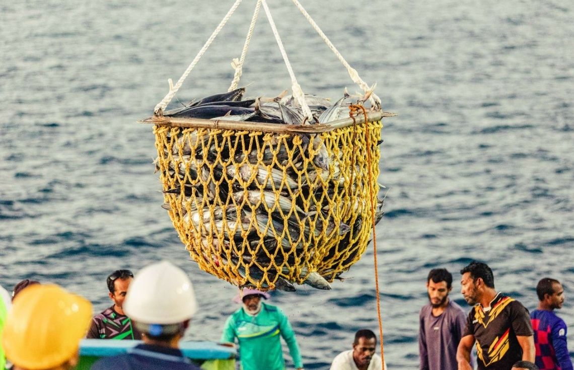 މިދިޔަ ހޮނިހިރު ދުވަހު މަސްކިރުވި ދޯނިތަކަށް 1.8 މިލިއަން ރުފިޔާ ދޫކޮށްފި