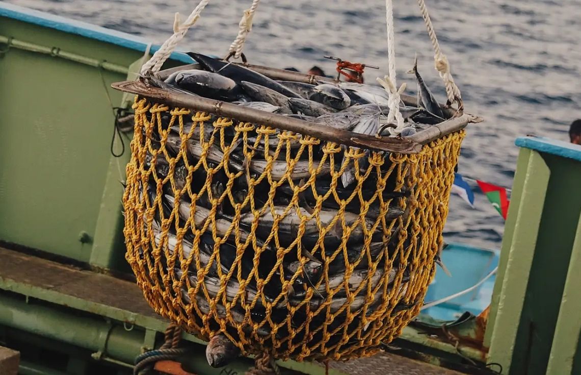 މިދިޔަ ހޯމަ ދުވަހު މަސްކިރުވި ދޯނިތަކަށް 1.1 މިލިއަން ރުފިޔާ ދޫކޮށްފި