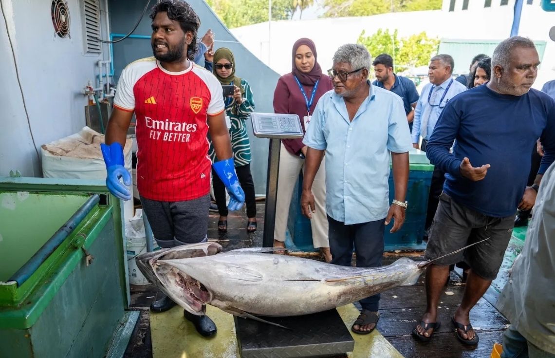 ޢީދު ބަންދުގައި މިފްކޯގެ ފެސިލިޓީތަކުން މަސް ގަތުން މެދުކަނޑާލައިފި