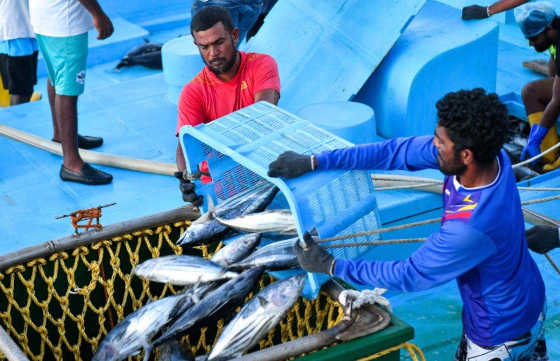 މިދިޔަ މަހު މަސްވެރިންނަށް 31 މިލިއަން ރުފިޔާ ދޫކޮށްފި