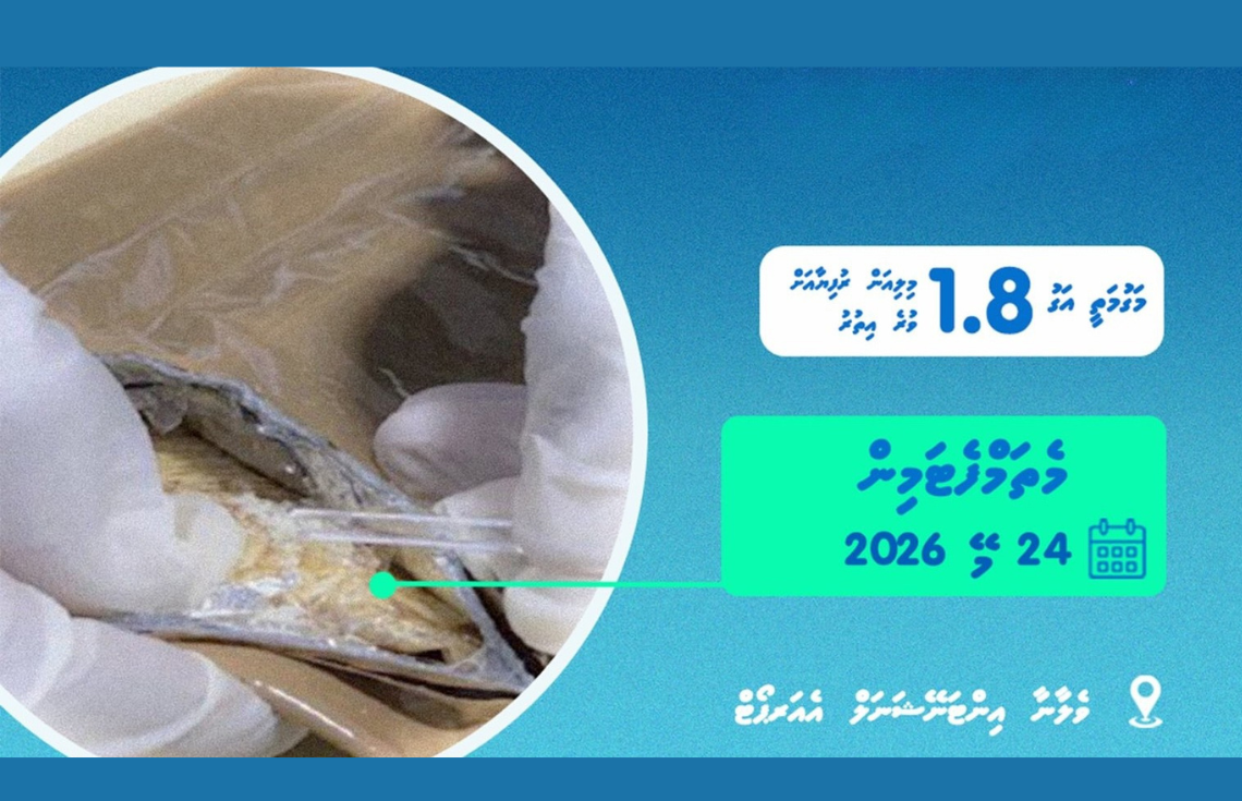ވައިގެ މަގުން އެތެރެކުރަން އުޅުނު ކިލޯއެއްހާ މަސްތުވާތަކެތި ހިފަހައްޓައިފި