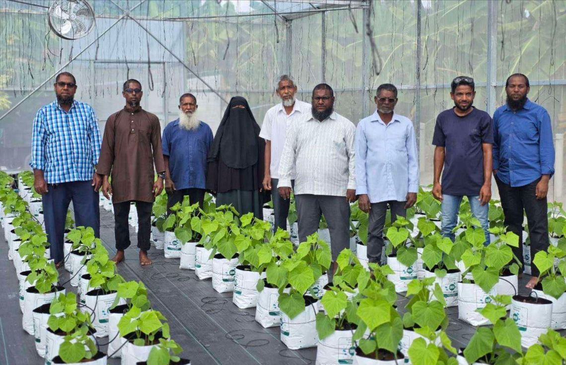 "ދަނޑުވެރި ނަފާ" ލޯނު އިސްލާމީ އުސޫލަށް ބަދަލުކޮށް، އެސްއެމްއީ ޑިޖިޓަލް އިން ތައާރަފްކޮށްފި