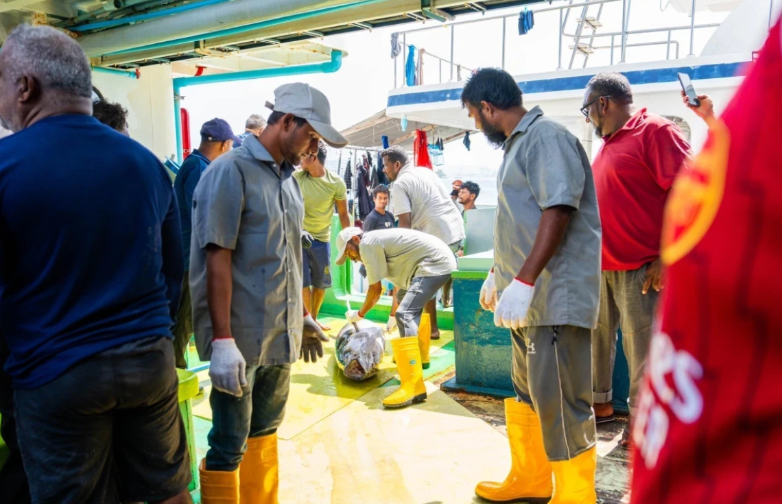 މަސްވެރިކަން ކުރިއެރުވުމަށް ސަރުކާރުން އަންނަނީ ގިނަ މަސައްކަތްތަކެއް ކުރަމުން