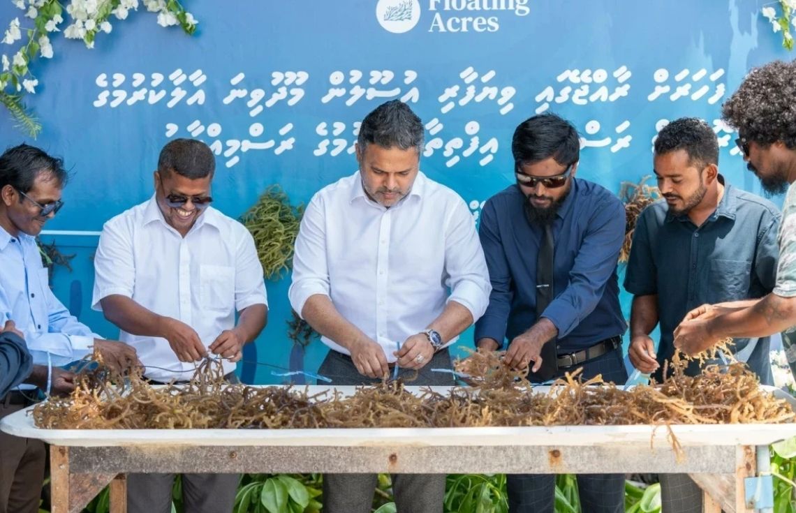 ރާއްޖޭގެ 2 ކުންފުންޏަކުން މޫދުވިނަ އާލާކުރަން ފަށައިިފި