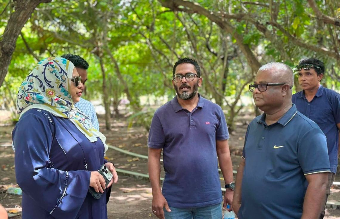 ތަރިކައާ ބެހޭ ވުޒާރާއަށް ޕީއާރް މަސައްކަތް ކޮށްދޭނެ ބަޔަކު ހޯދަން އިއުލާނު ކޮށްފި