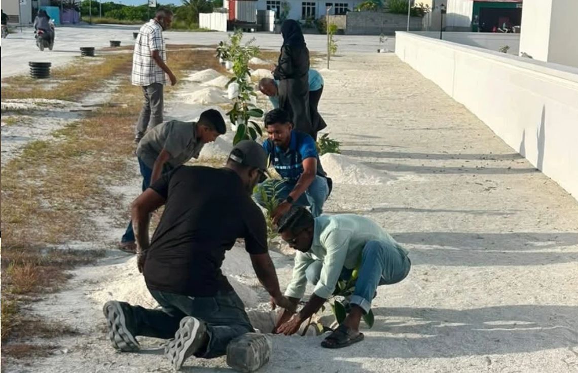 ފަސް މިލިއަން ގަސް އިންދުމުގެ މަޝްރޫއުގެ ދަށުން ދިއްދޫގައި ގަސް އިންދައިފި