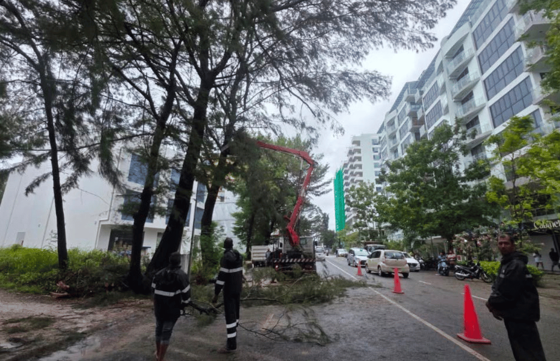 ގަދަ ވިއްސާރައާ ގުޅިގެން އެހީތެރިކަމެއް ބޭނުންވާނަމަ 1516 އަށް ގުޅުމަށް އެޗްޑީސީން އެދިއްޖެ