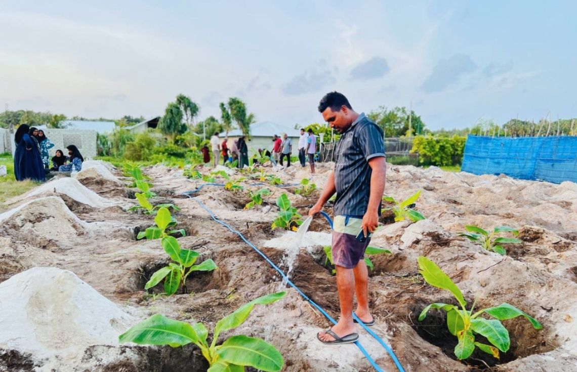 ވިލުންވެށި ގްރާންޓަށް ކުރިމަތިލުމުގެ ފުރުސަތު މިހާރު ހުޅުވާލައިފި