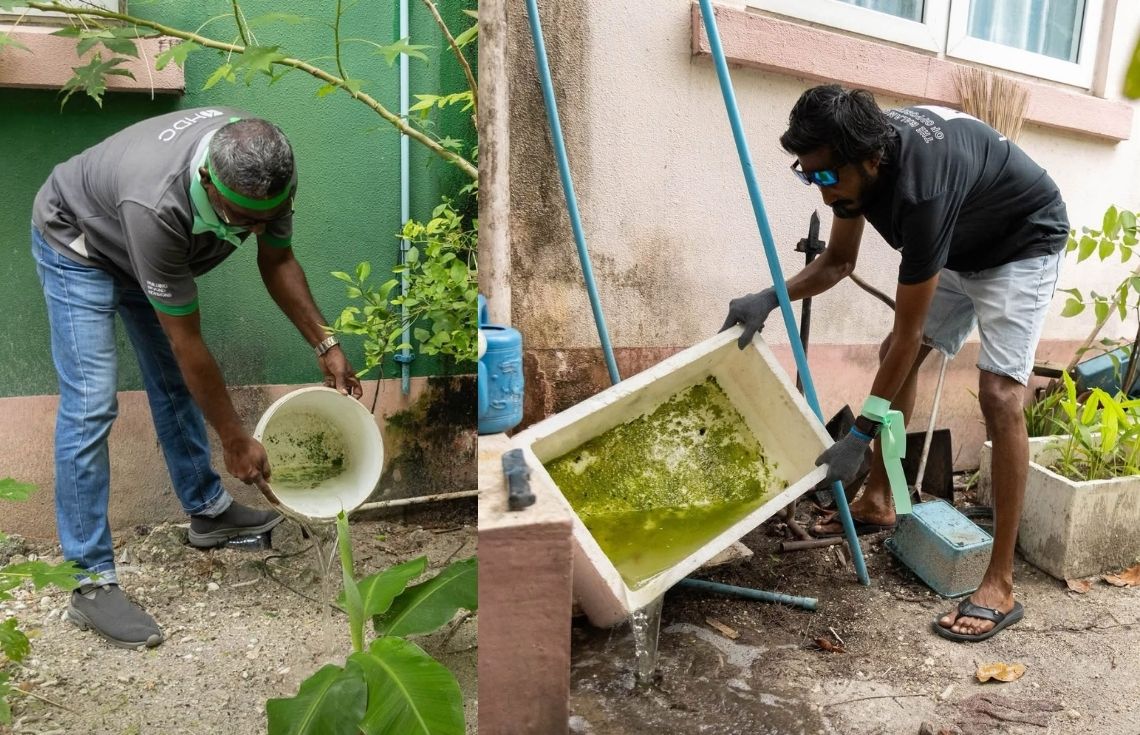 "މަދިރިން ރައްކާ": މަދިރި މަދުކުރުމަށް އެޗްޑީސީން ހުޅުމާލޭގައި ހާއްސަ ހަރަކާތެއް ފަށައިފި