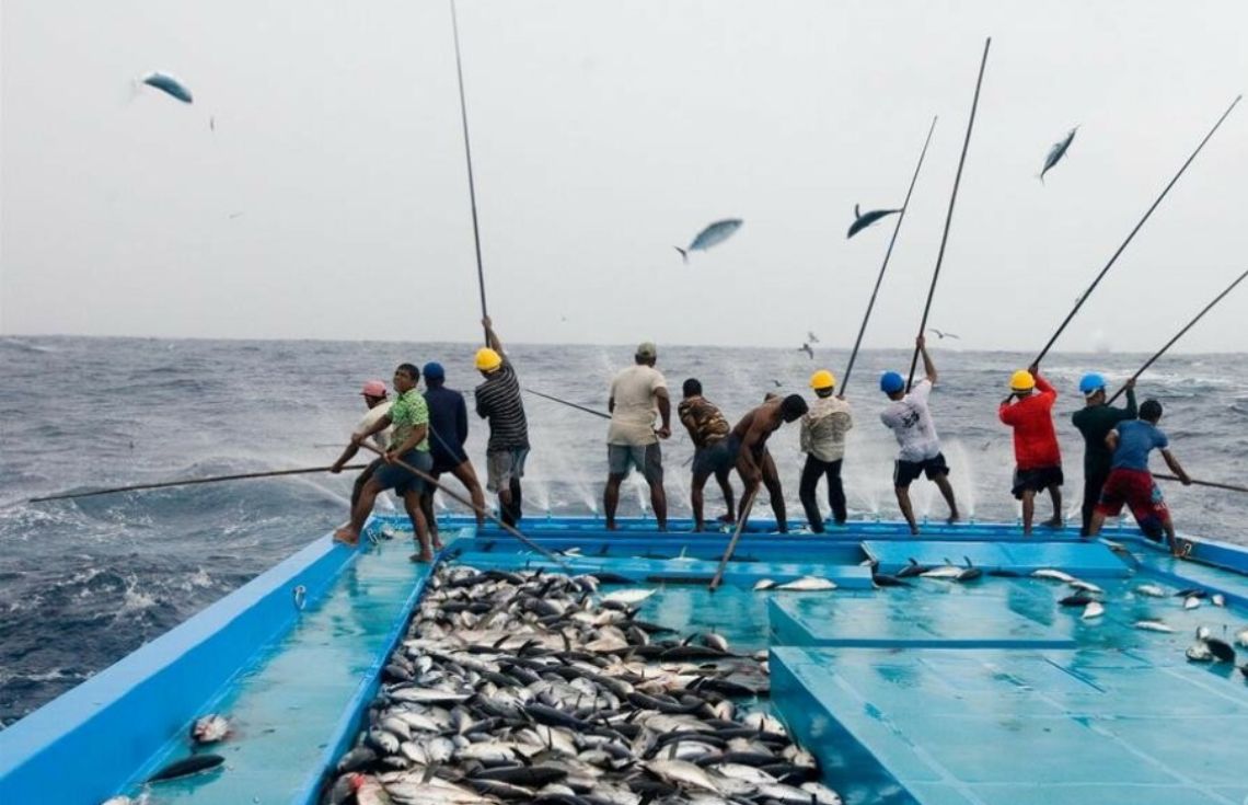 މިދިޔަ މަހު މިފްކޯއަށް ކިރުވި މަހަށް 49 މިލިއަނަށްވުރެ ގިނަ ރުފިޔާ