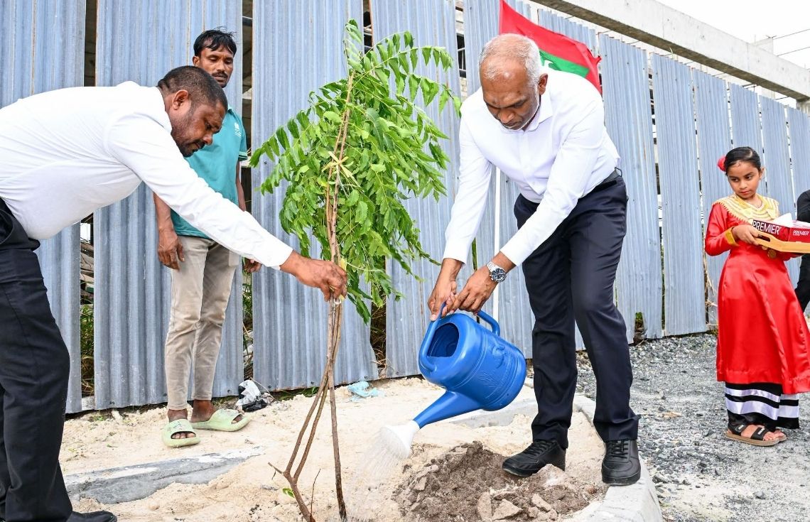 ރައީސުލްޖުމްހޫރިއްޔާގެ ދެކަނބަލުން އުކުޅަހުގައި ގަސް އިންދަވައިފި