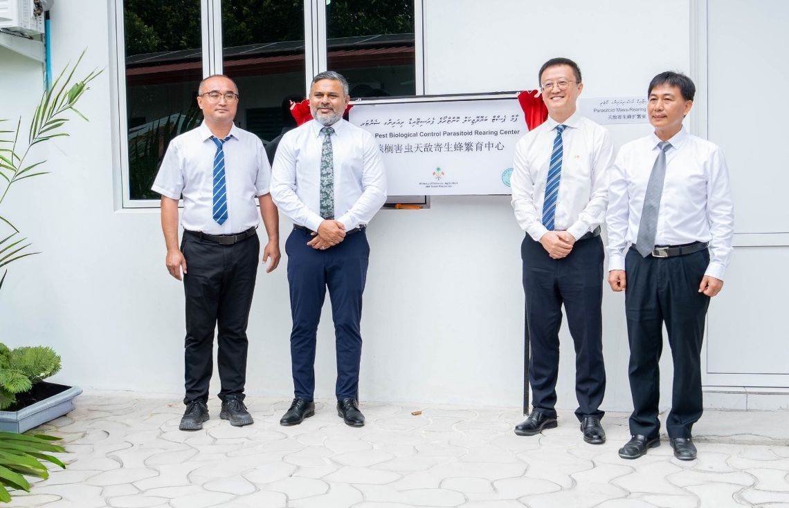ރުކުމަޑިއަށް ހަމަލާދޭ ސޫފާސޫފި އާލާކުރާ މަރުކަޒު ހުޅުވައިފި