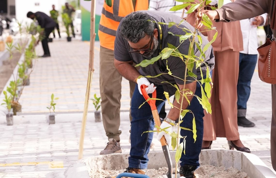5 މިލިއަން ގަސް އިންދުމުގެ ޕްރޮގްރާމްގެ ދަށުން އަމާން ޓަވަރުތައް ކައިރީ ގަސް އިންދައިފި