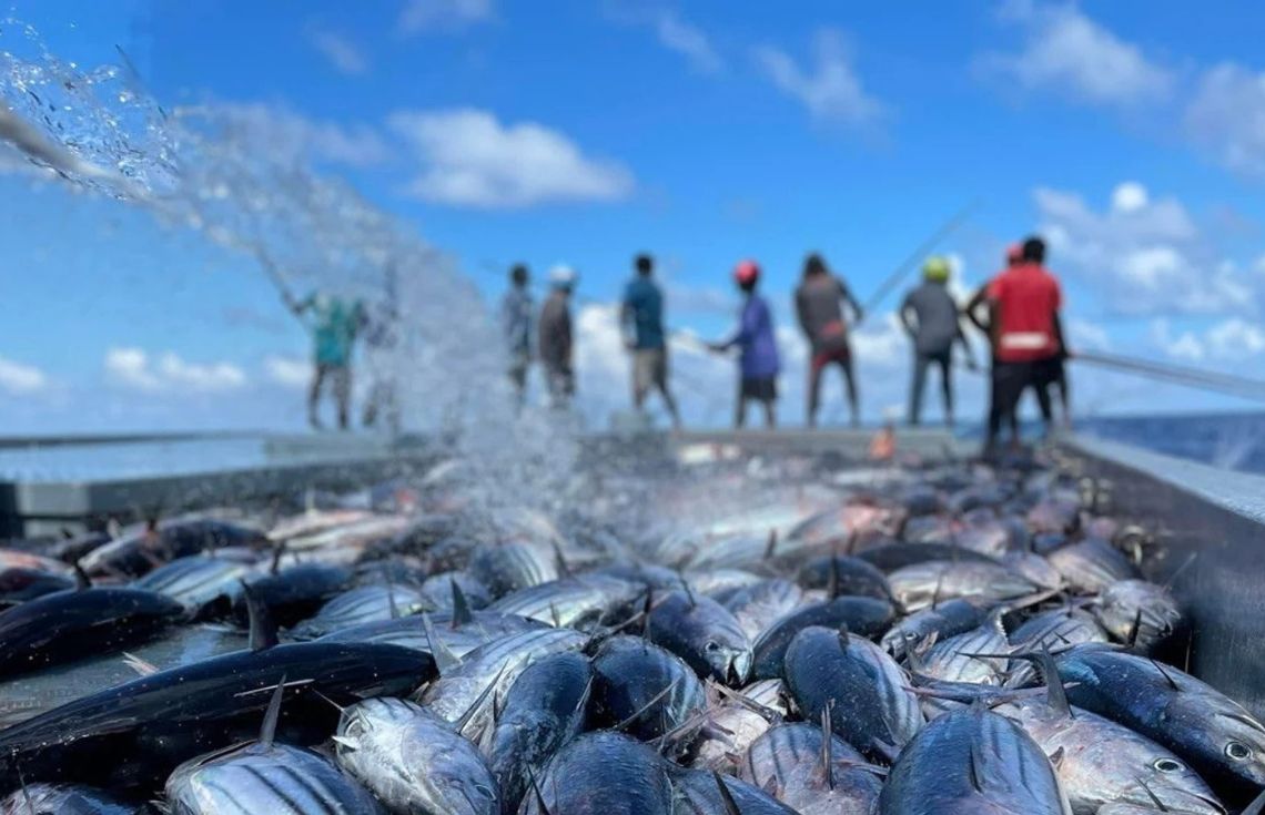 މިމަހުގެ 20 ގެ ނިޔަލަށް މަސްވެރިންނަށް 20.2 މިލިއަން ރުފިޔާ މިފްކޯއިން ދޫކޮށްފި