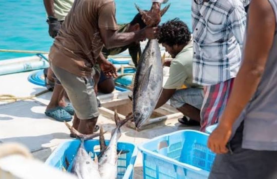 ތެލުގެ ސަބްސިޑީ ހޯދުމަށް 'ފަހިހަކަތަ' ޕޯޓަލްގައި ރަޖިސްޓްރީވާން މަސްދޯނިފަހަރަށް އަންގައިފި