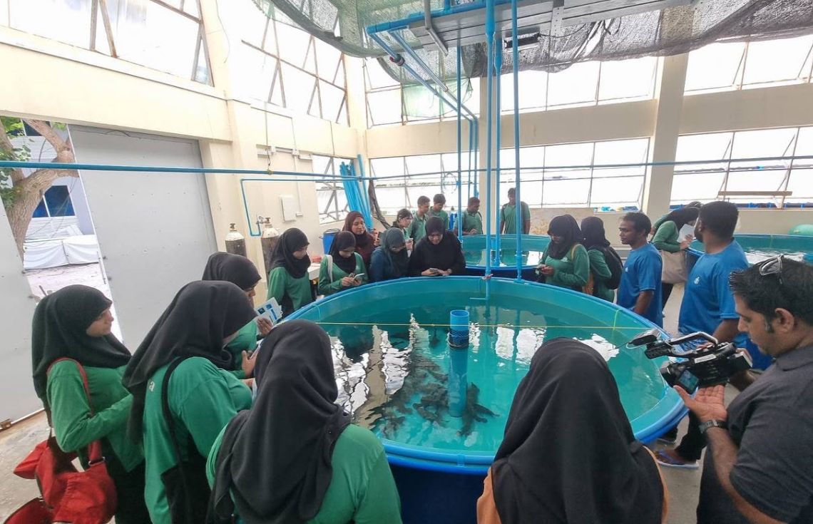 ފަރުމަސް އާލާކުރުމުގެ ތަމްރީނު ޕްރޮގްރާމުގެ 3 ވަނަ ބުރު ބާއްވަނީ؛ ބައިވެރިވުމުގެ ފުރުސަތު ހުޅުވާލައިފި