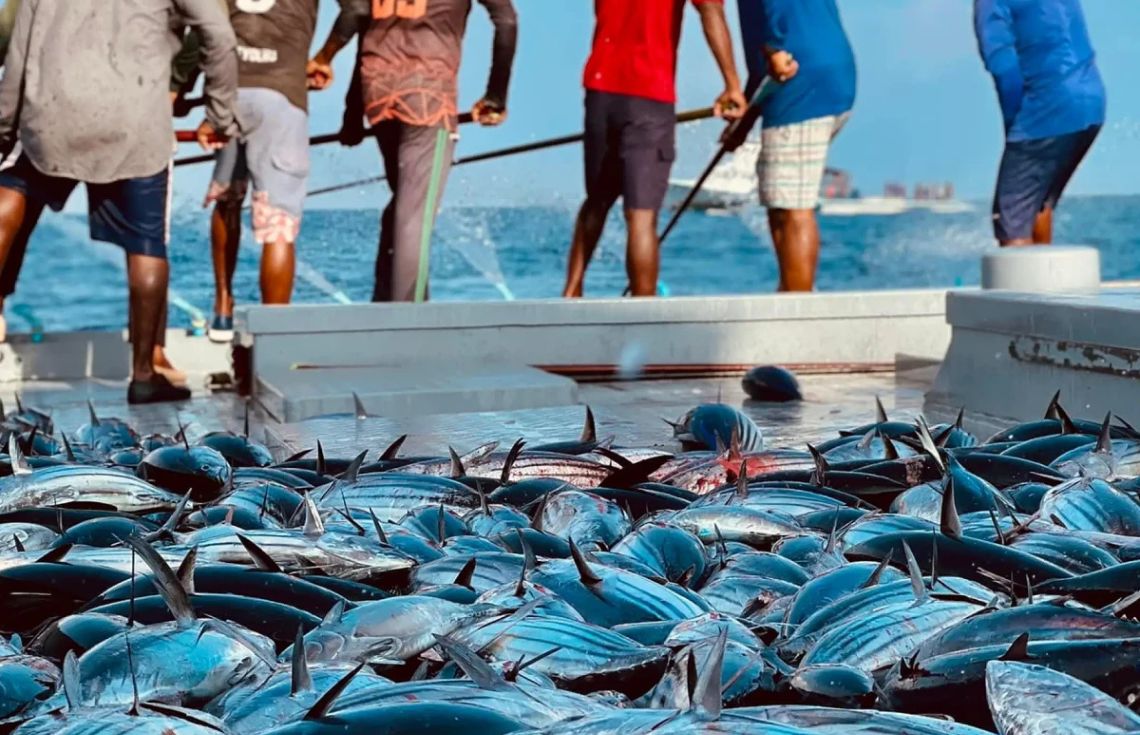 މިދިޔަ މަހުގެ ނިޔަލަށް މަސްވެރިންނަށް 14.5 މިލިޔަން ރުފިޔާގެ ލޯނު ދޫކޮށްފި
