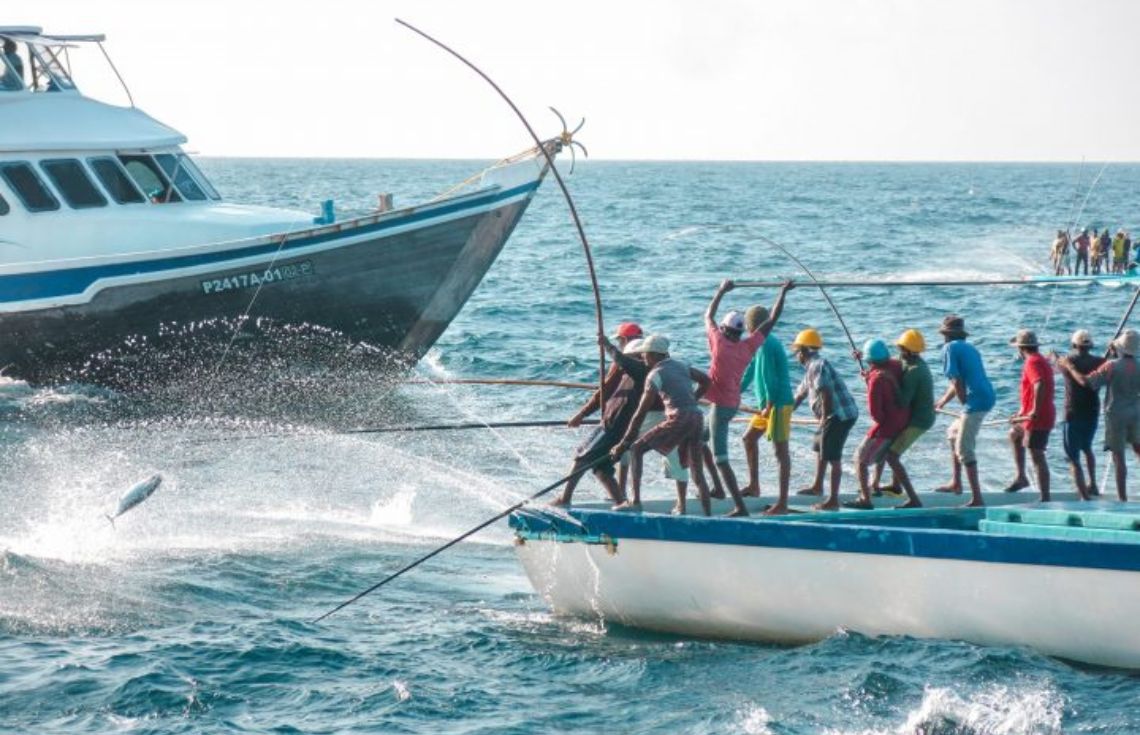 ޖޫން މަހުގެ ނިޔަލަށް  16،991 ޓަނުގެ މަހާއި މަހުގެ އުފެއްދުން ބޭރުކުރި