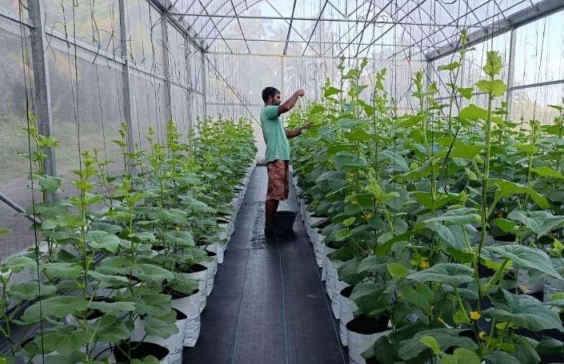 ވިލުންވެށި ގްރާންޓަށް 150 އަށްވުރެ ގިނަ ޕްރޮޕޯޒްލް