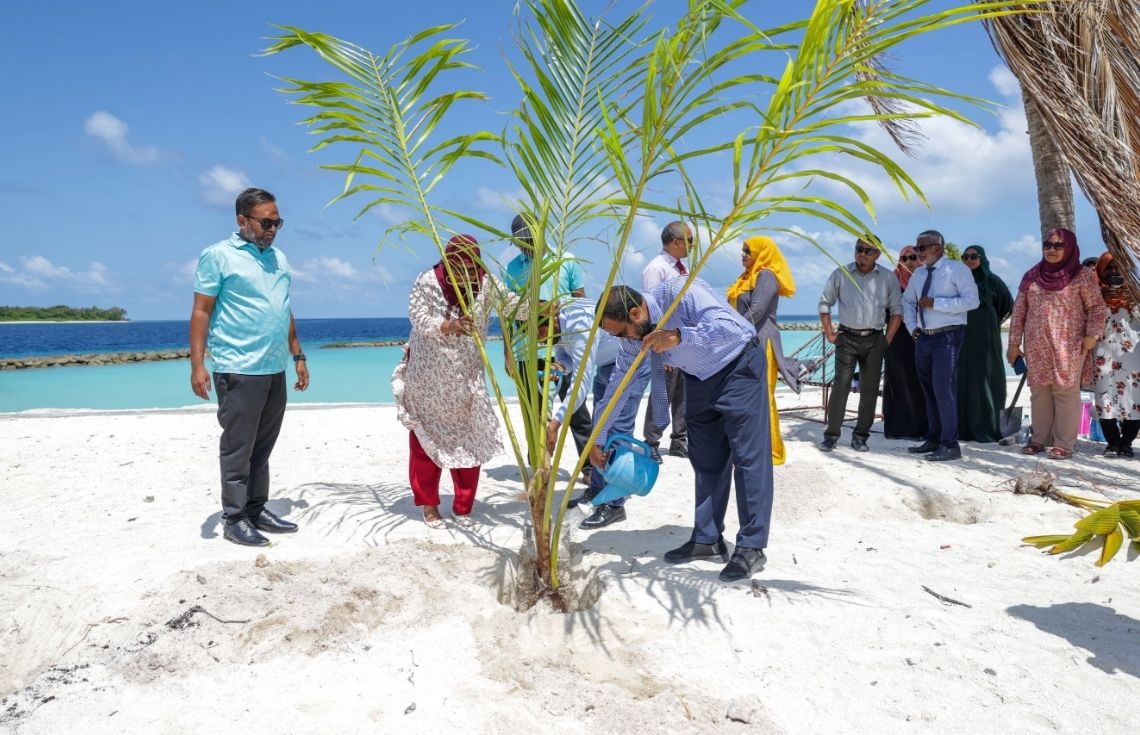 5 މިލިއަން ގަސް މަޝްރޫއުގެ ދަށުން 2.3 މިލިއަނަށްވުރެ ގިނަ ގަސް އިންދައިފި