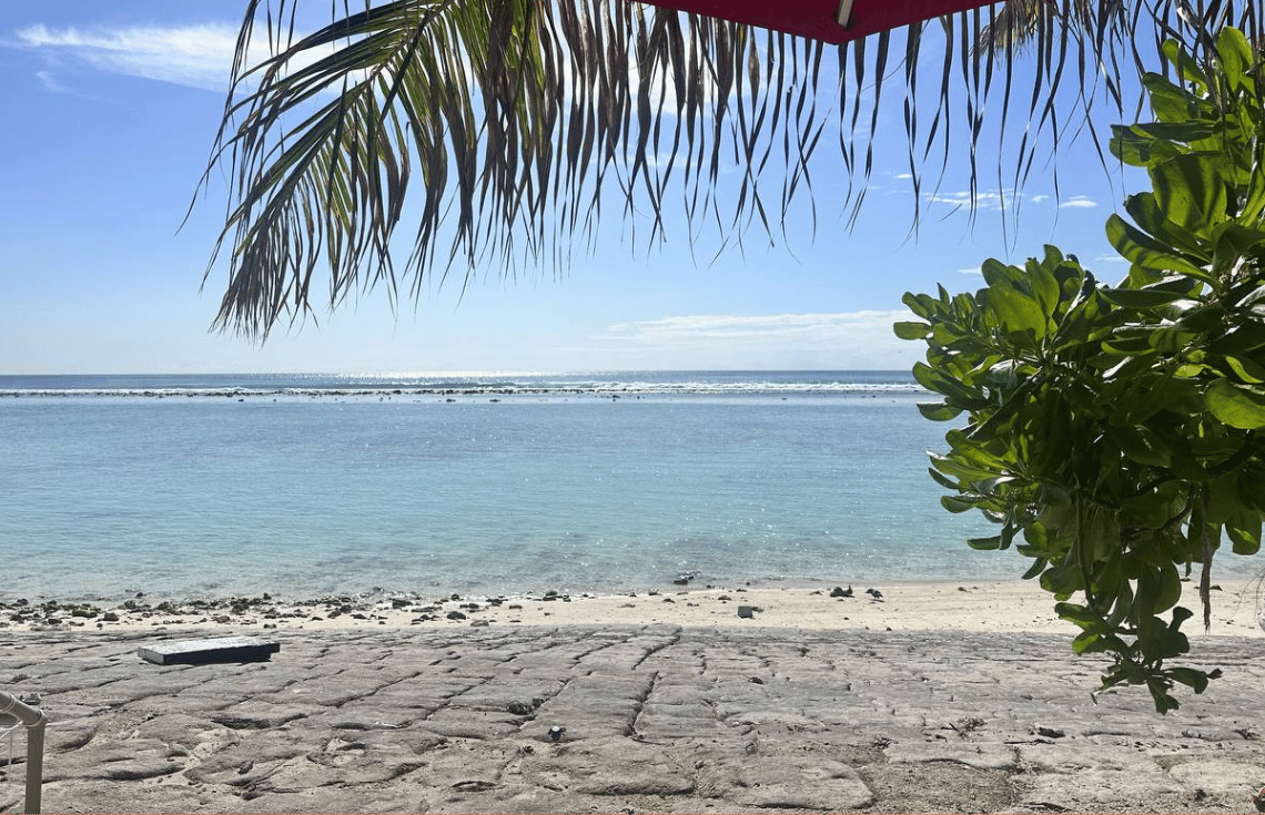 Featured Article Image