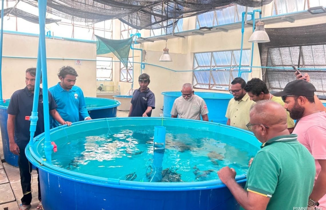 މަސްވެރިކަން ކުރިއަރުވާ "މެރިން ހެޗަރީ" ޕްރޮގްރާމްގައި ބައިވެރިވާން ހުޅުވާލައިފި