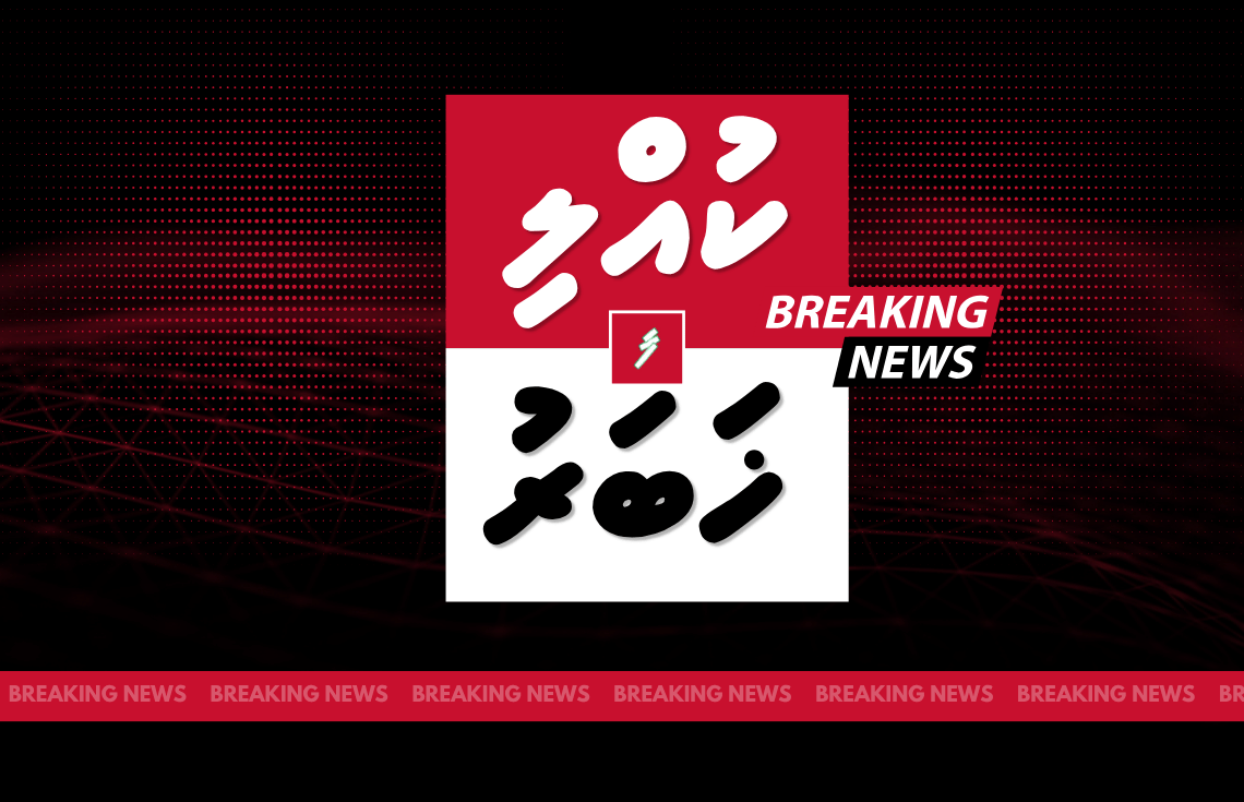 މޫނު ނިވާކޮށްގެން ތިބި ބަޔަކު ގެއަކަށް ވަދެ ގިނަ އަދަދެއްގެ ފައިސާ ފޭރިގެންފި