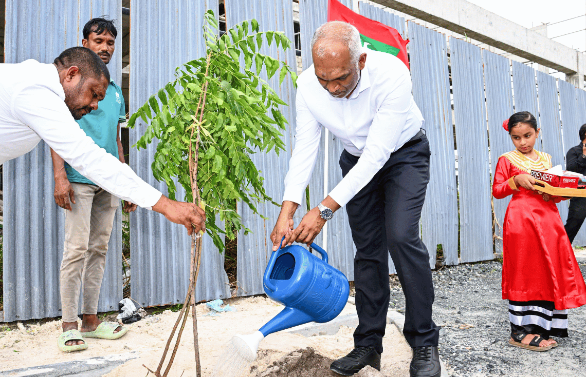 އިޖާދީ ވިސްނުމާއި ތަޖުރިބާއާއެކު އިމްޕޯޓްކުރާ ދަނޑުވެރިކަމުގެ ބާވަތްތައް މަދުކުރެވޭނެ: ރައީސުލްޖުމްހޫރިއްޔާ