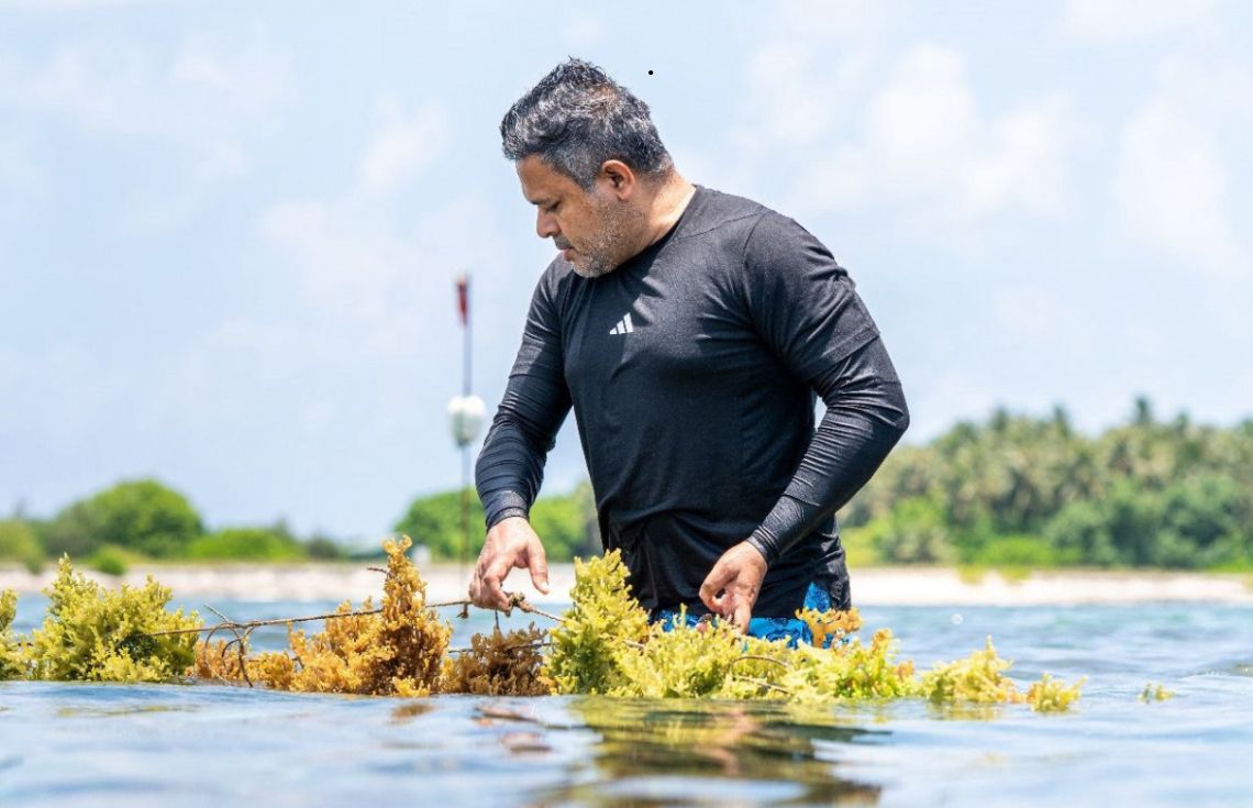 މޫދުވިނަ އާލާކުރުމުގެ ހުއްދަ އިތުރު 3 ރަށަކަށް ދޫކުރުމުގެ މަސައްކަތް ފަށައިފި